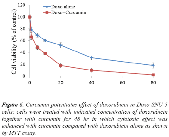 biomedres-Curcumin-potentiates-effect