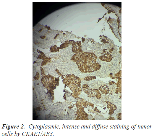 biomedres-Cytoplasmic