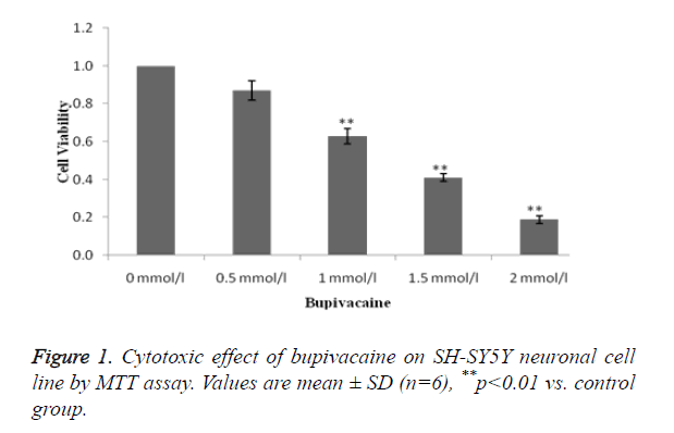 biomedres-Cytotoxic-effect