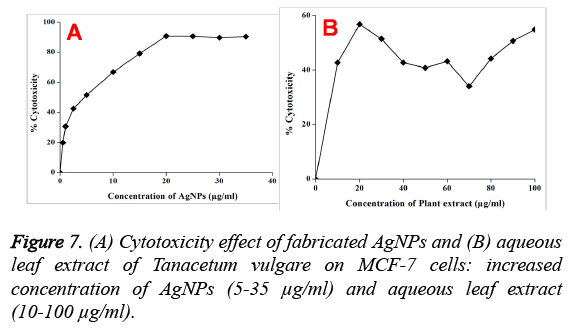 biomedres-Cytotoxicity-effect-fabricated