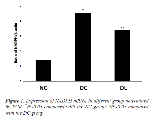 biomedres-DC-group