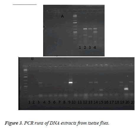 biomedres-DNA-extracts