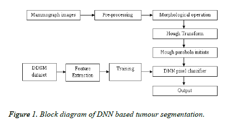 biomedres-DNN-based-tumour