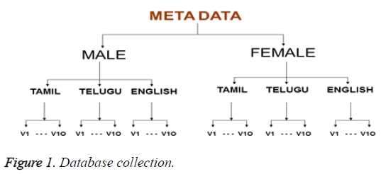 biomedres-Database-collection