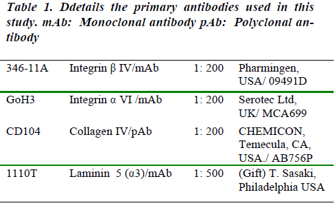 biomedres-Ddetails-primary-antibodies-study