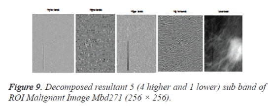 biomedres-Decomposed-resultant