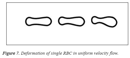 biomedres-Deformation-single-RBC