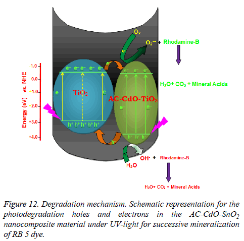 biomedres-Degradation-mechanism