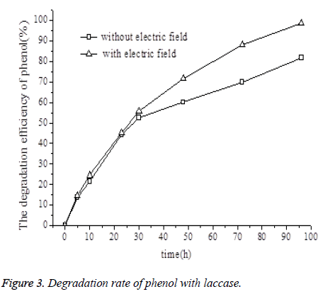 biomedres-Degradation-phenol