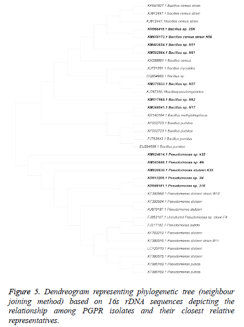 biomedres-Dendreogram-representing