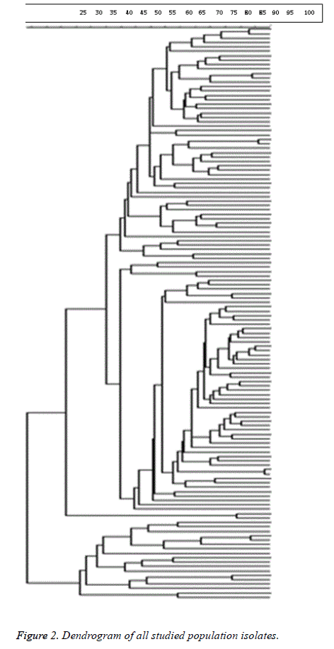 biomedres-Dendrogram