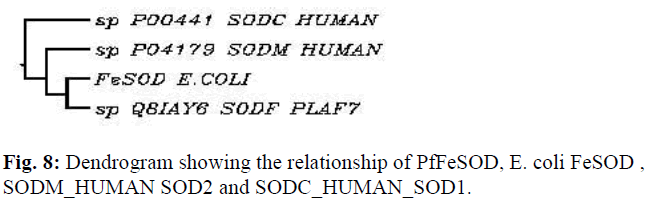 biomedres-Dendrogram-relationship-HUMAN