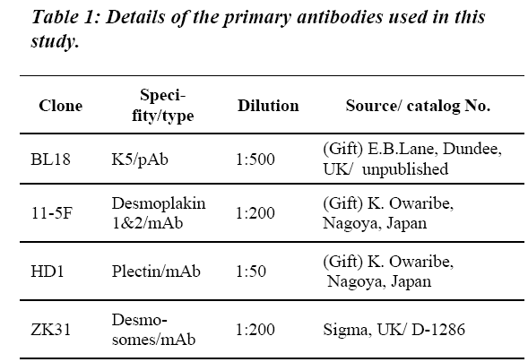 biomedres-Details-primary-antibodies