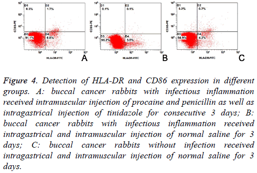 biomedres-Detection-HLA-DR