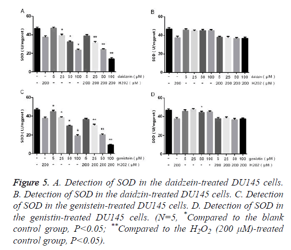 biomedres-Detection-SOD