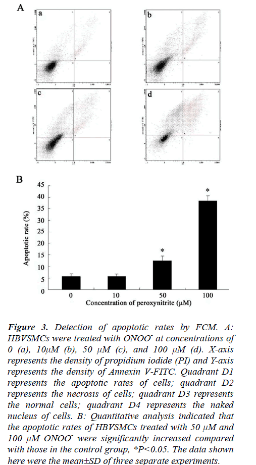 biomedres-Detection-apoptotic-rates