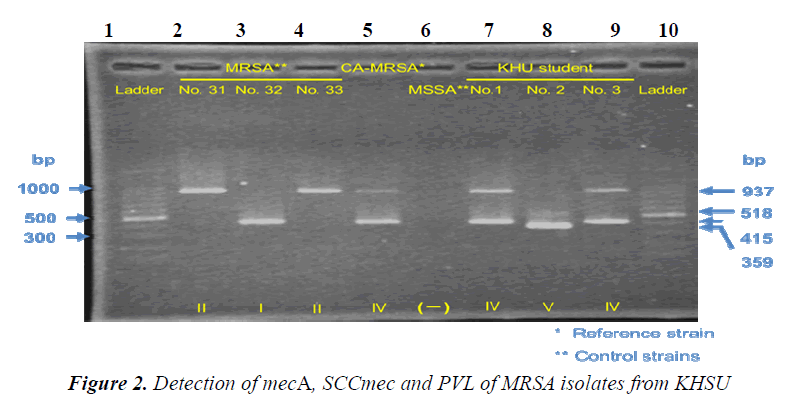 biomedres-Detection-mecA