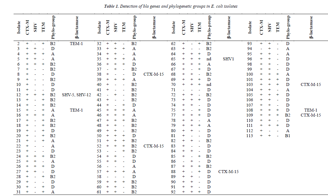 biomedres-Detection-of-bla-genes