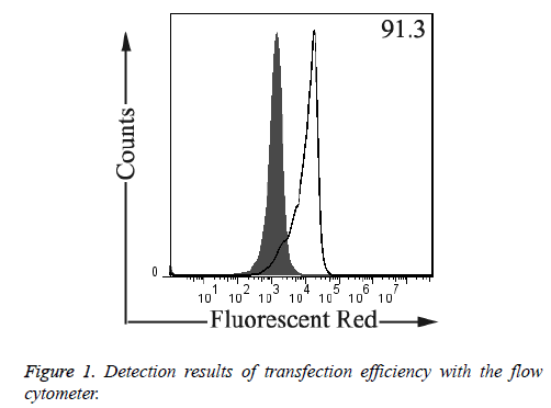 biomedres-Detection-results