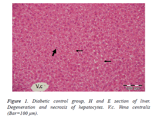 biomedres-Diabetic-control