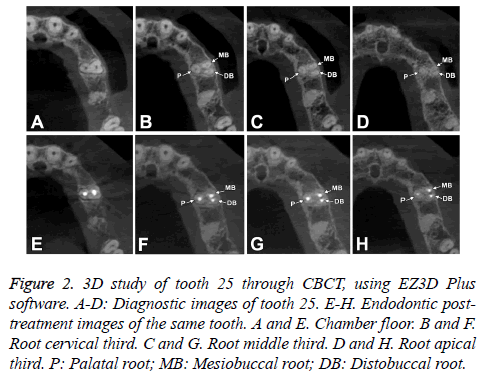 biomedres-Diagnostic-images