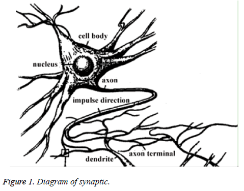 biomedres-Diagram-synaptic