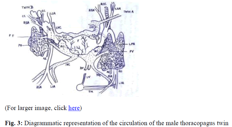 biomedres-Diagrammatic-representation