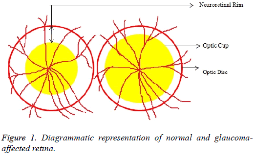 biomedres-Diagrammatic-representation