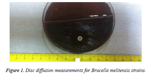 biomedres-Disc-diffusion