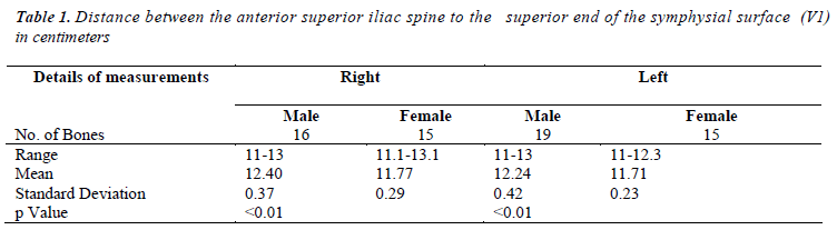 biomedres-Distance-symphysial-surface