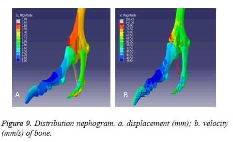 biomedres-Distribution-nephogram