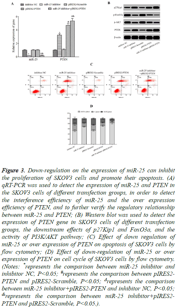 biomedres-Down-regulation-expression