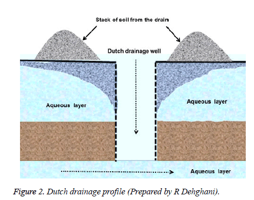 biomedres-Dutch-drainage