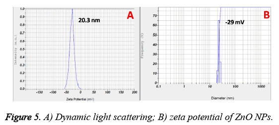 biomedres-Dynamic-light-scattering