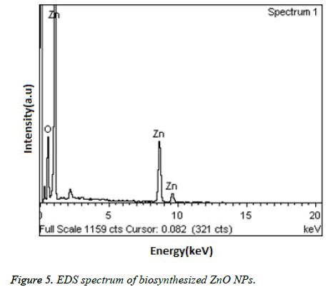 biomedres-EDS-spectrum