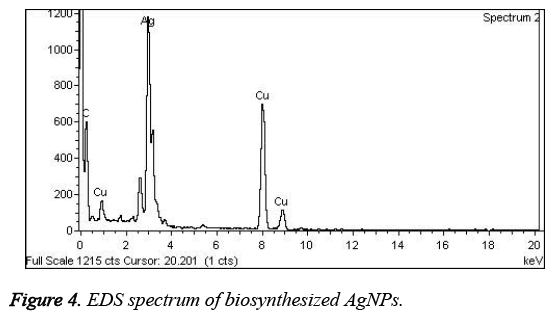 biomedres-EDS-spectrum-biosynthesized