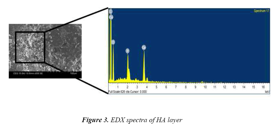 biomedres-EDX-spectra-HA-layer
