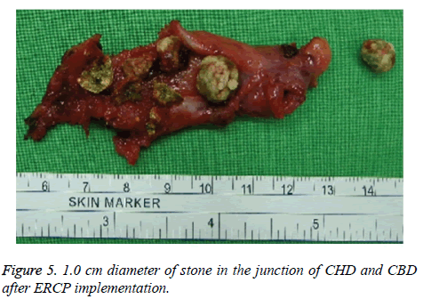 biomedres-ERCP-implementation