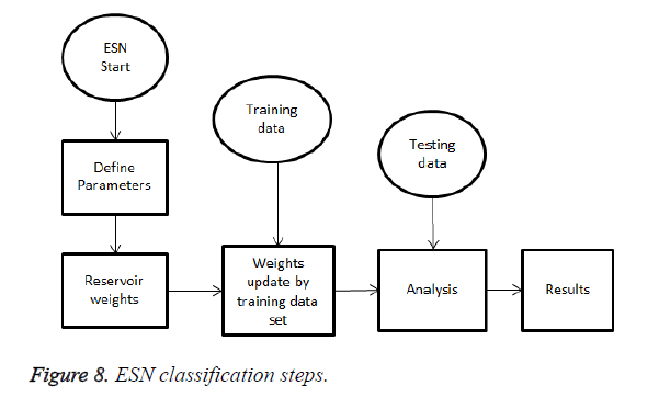 biomedres-ESN-classification