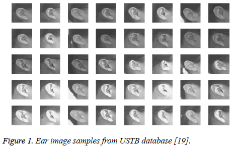 biomedres-Ear-image