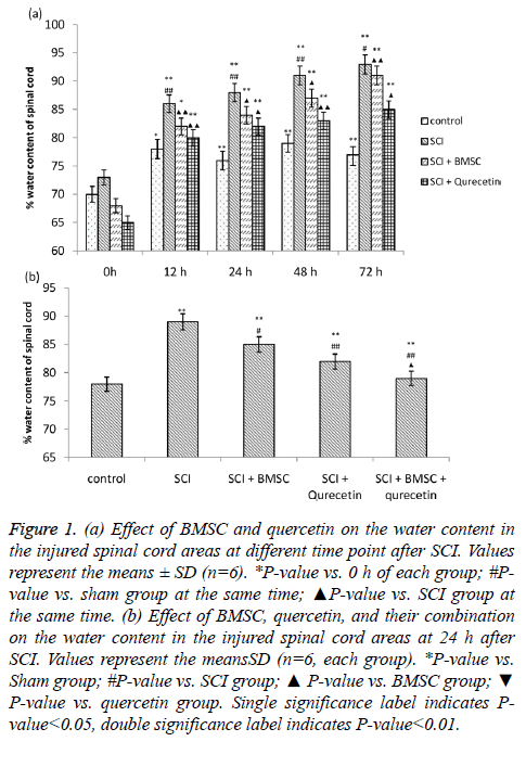 biomedres-Effect-BMSC