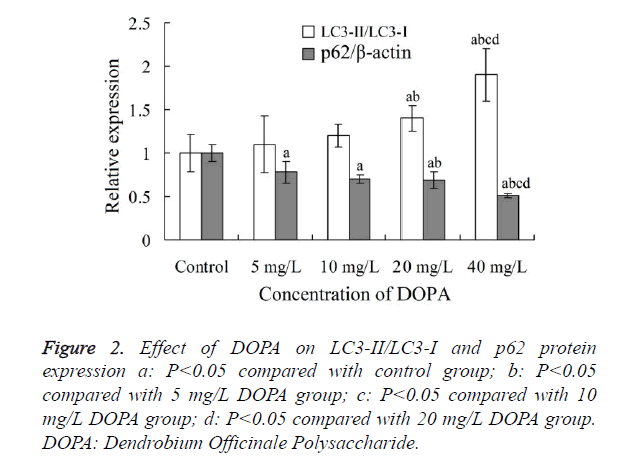 biomedres-Effect-DOPA