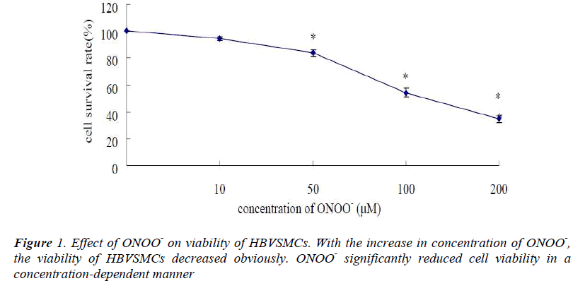 biomedres-Effect-ONOO-viability-HBVSMCs