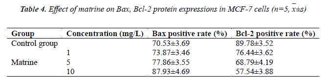 biomedres-Effect-matrine-cell-cycle