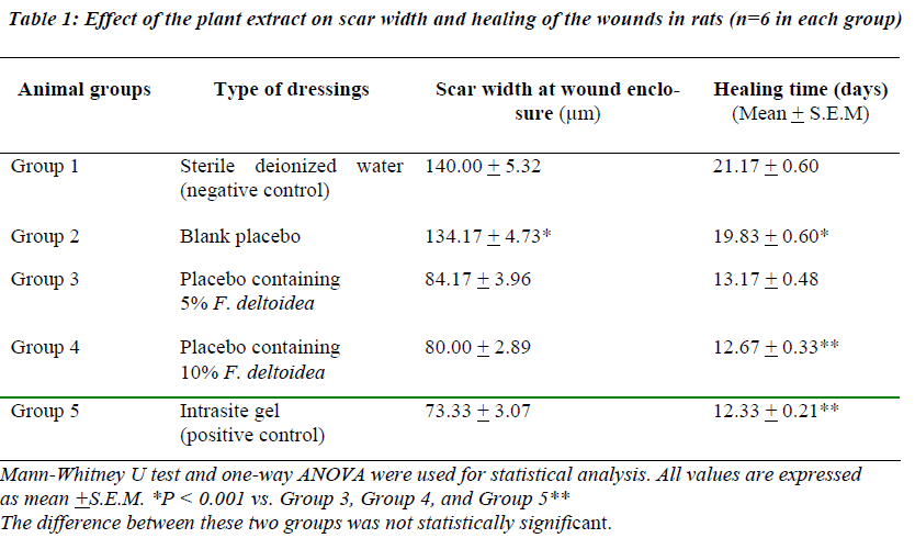 biomedres-Effect-plant-extract-scar