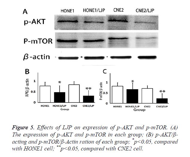 biomedres-Effects-LJP