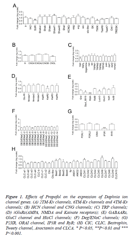 biomedres-Effects-Propofol