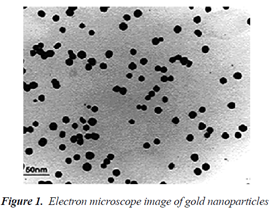 biomedres-Electron-microscope-image