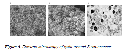 biomedres-Electron-microscopy