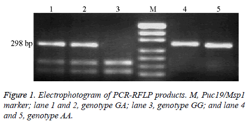 biomedres-Electrophotogram-genotype